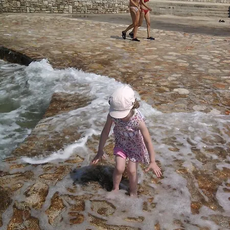 Edo Novigrad Istria