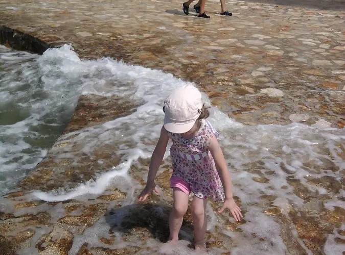 Edo Novigrad Istria