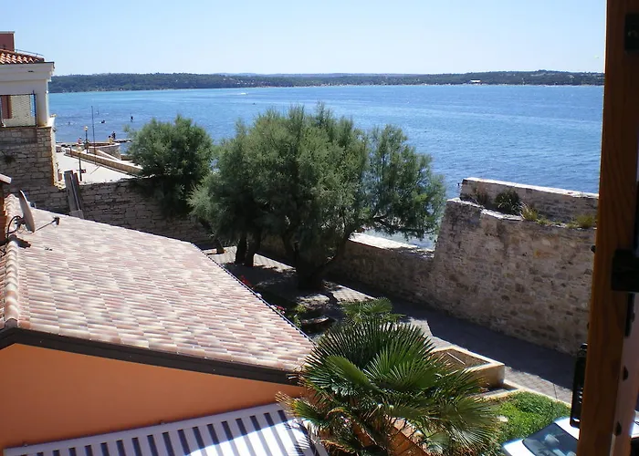 Edo Novigrad Istria